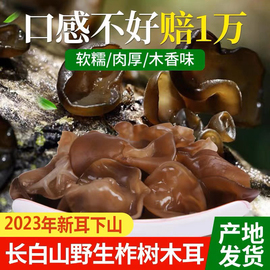 东北特级野生柞木黑木耳干货500g 长白山椴木秋木耳 软糯肉厚木香