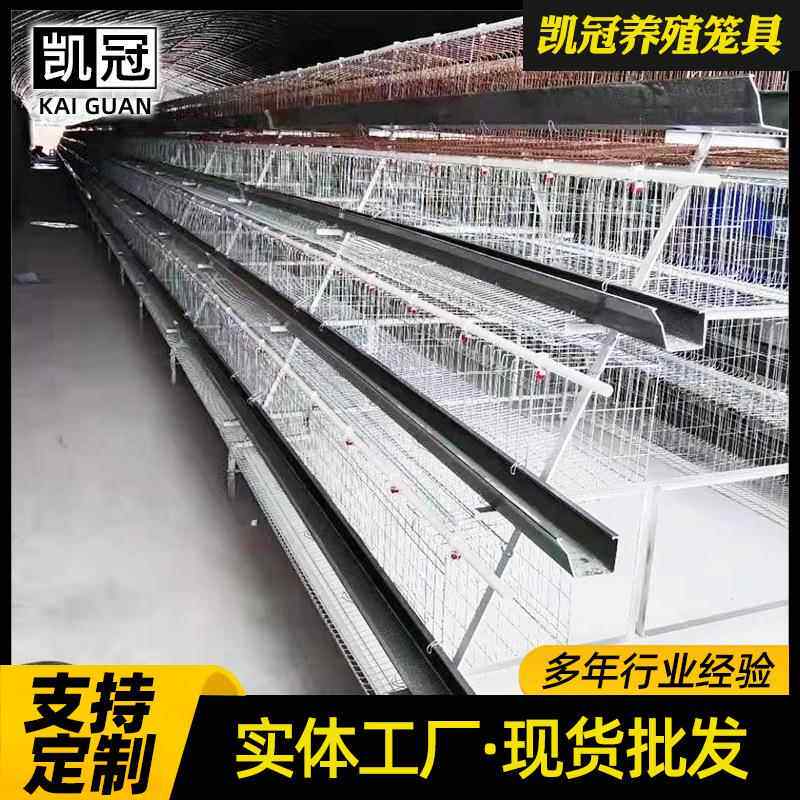 立体三层梯式蛋笼全自动蛋鸡养殖BSV笼子阶组合阶梯笼式鸡蛋鸡子