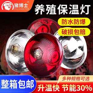 猪博士猪用保温灯养殖场专用防水爆兽用取暖加热灯泡烤灯猪圈设备