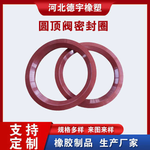 氟橡胶密封件 圆顶阀密封圈 DN50-DN200 进料阀密封环