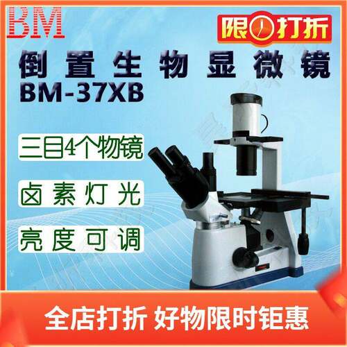 BM彼爱姆BM-37XBD平板电脑倒置生物显微镜37XBP三目4物镜40-640倍