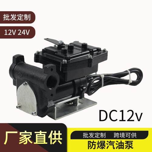 抽油泵自吸式汽油防爆泵小型电动抽油泵源头工厂12V24V支持
