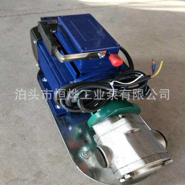 现货供应手提齿轮泵微型卸柴油液压机油24v220v高粘度电动抽油泵