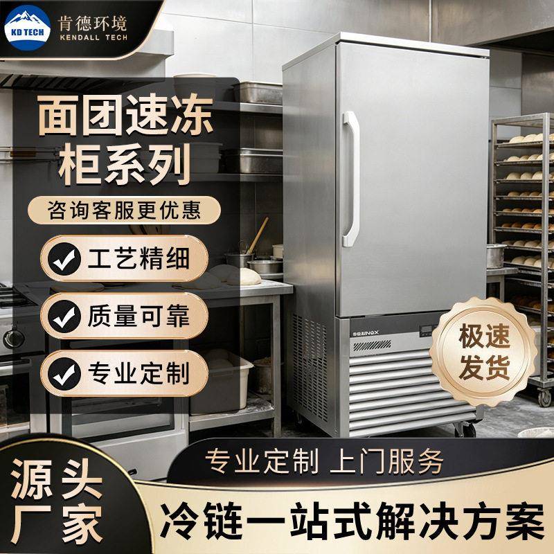 饺子速冻柜冰箱商用包子海鲜海参急冻柜商用风冷速冻机零下-45度
