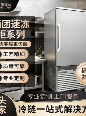 饺子速冻柜冰箱商用包子海鲜海参急冻柜商用风冷速冻机零下-45度