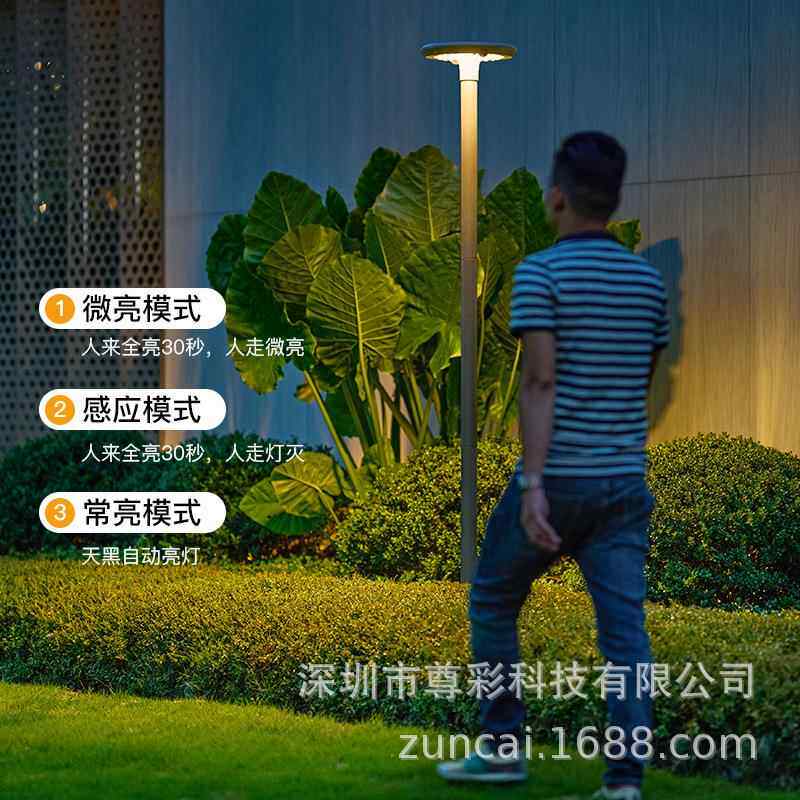 【人体感应】太阳能庭院灯户外防水高杆灯超亮花园别墅景观草地灯