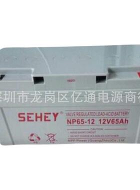 SEHEY西力胶体蓄电池NPG24-12光伏发电12V24Ah 直流屏EPS