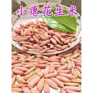 山东24年小瘪花生米生新花生小粒细长扁生花生仁甘甜干瘪特产