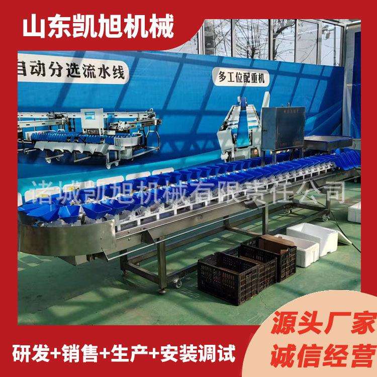 小龙虾多级机分拣设备白条鸡重分选机量全GTX自动产鸡爪分级生线