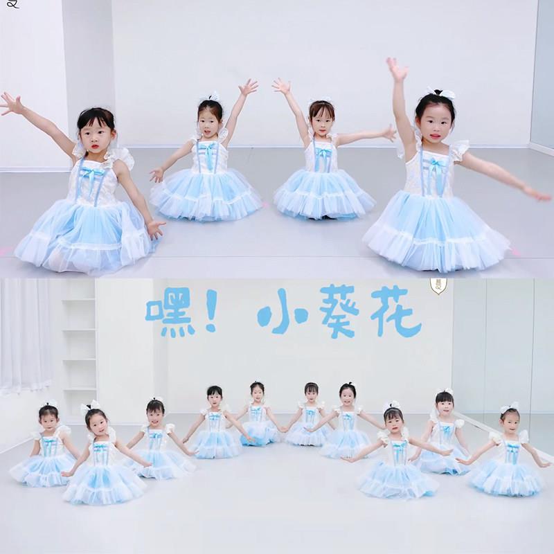 小葵花儿童舞蹈服我有一个梦想表演出服女童可爱公主蕾丝亮片纱裙
