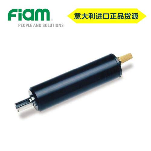 意大利FIAM 紧凑型叶片气动马达