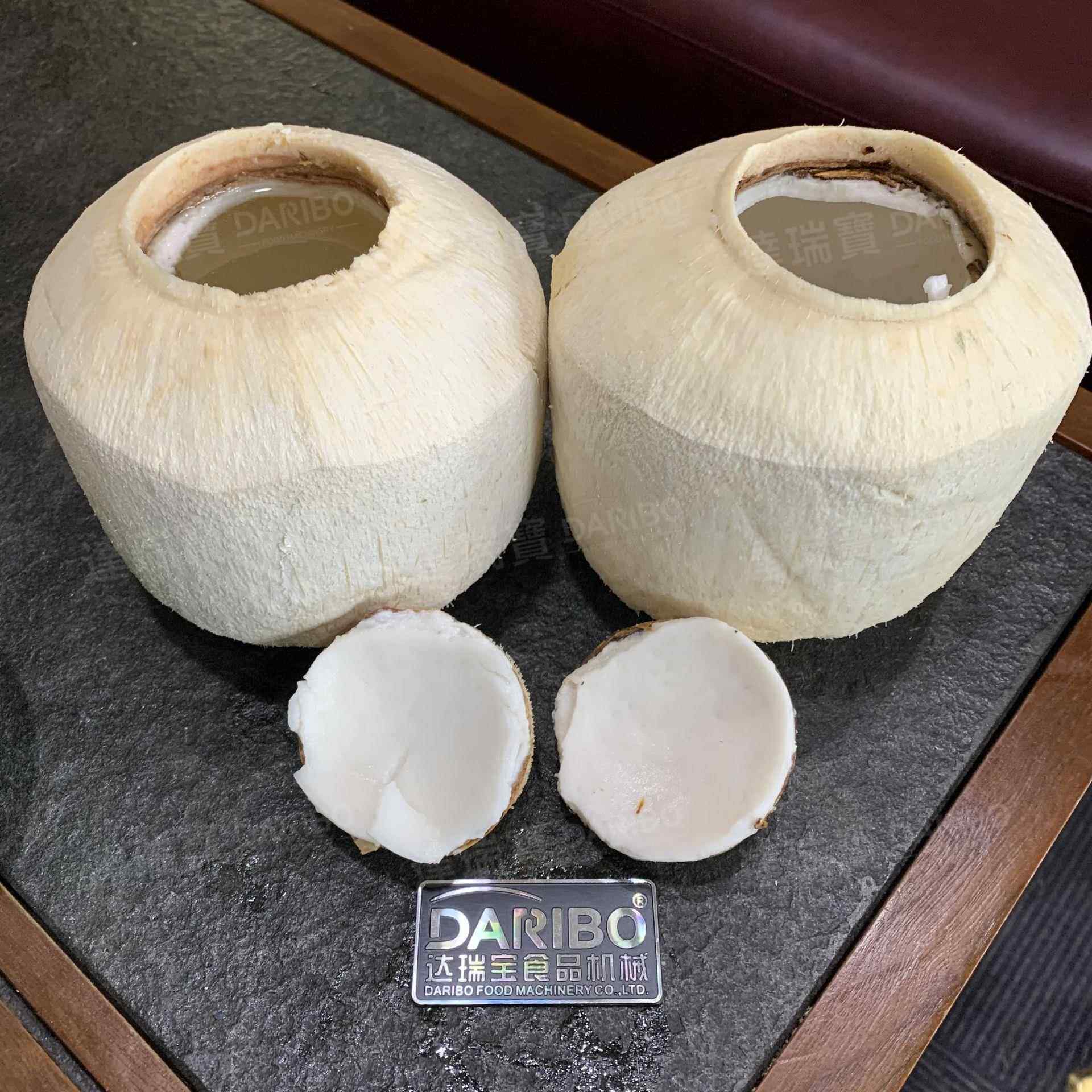 W厂家直销青椰开盖机 广东厂家直销开椰孔机新款椰子开盖机器自动
