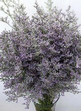 云南真花鲜花天然干花情人草配草轻奢家居装饰品干花花束客厅摆设