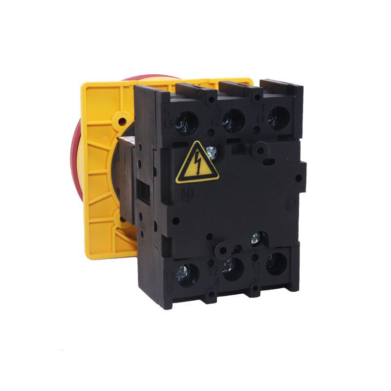 上海天逸凸轮通断开关LW42B2-1824/LF101-2825/B25B32B63-1016/LF