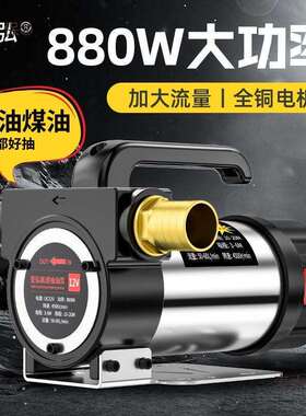 正反12V泵24V220V伏电动柴油麦太保油器抽抽油自吸泵油机柴油泵麦