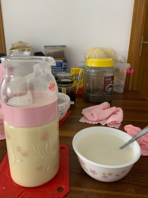 问个究竟圣臣豆浆破壁机怎么样？用后10天发现的缺点！