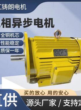 直销三相异步电动机YE3-132S-2极5.5W380V50HZ电机motor浙江铸朗