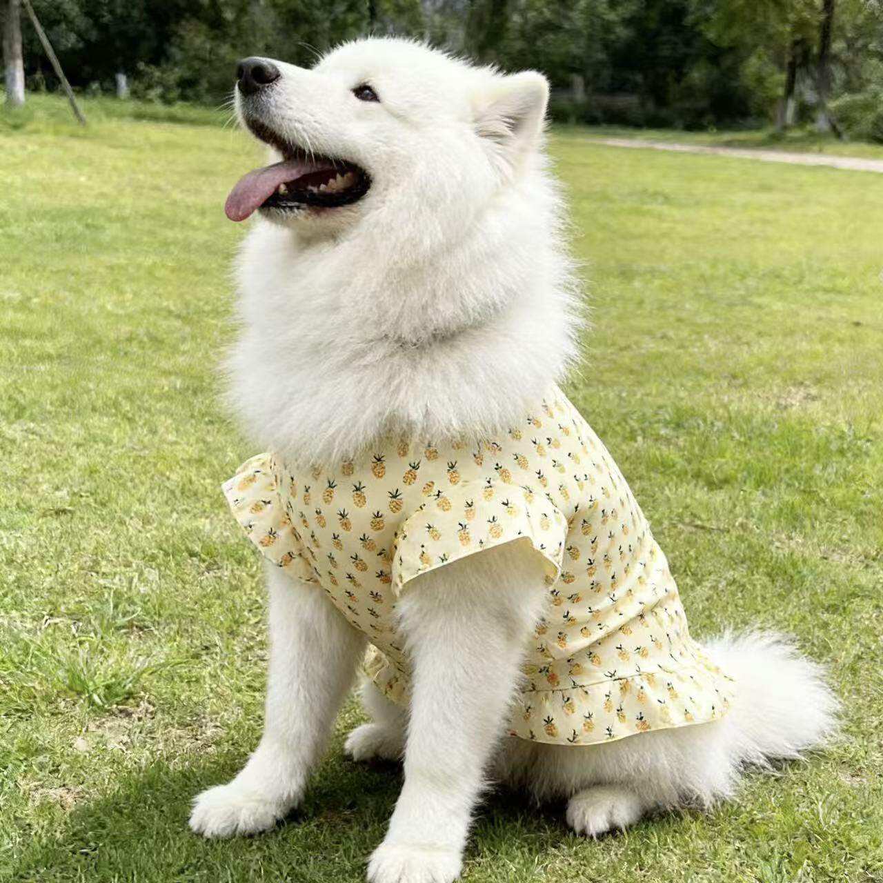 大狗衣服宠物背心裙子春夏薄款金毛犬萨摩耶拉布拉多边牧防晒衣服