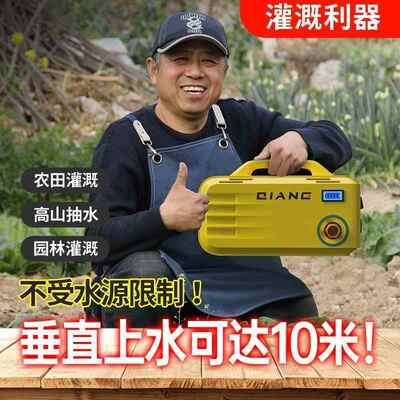 充电式抽水机菜地浇机洗车水抽水泵浇菜充电AAP式抽泵便水式携抽