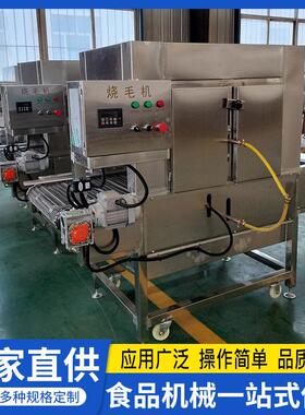 隧道式燎毛机牛蹄驴蹄烧毛机器乌鸡家禽杂毛处理烧制机
