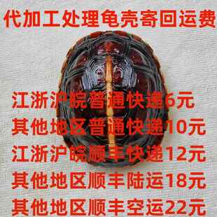 运费快递费代加工处理龟壳寄回运费快递费乌龟壳清理保养方法运费
