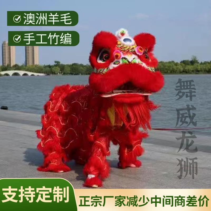 狮子头舞狮道具整套南狮醒狮羊毛狮灯光狮夜光狮佛山狮舞龙舞狮