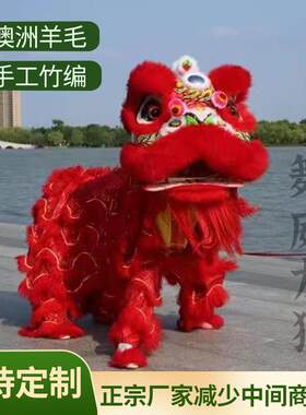 狮子头舞狮道具整套南狮醒狮羊毛狮灯光狮夜光狮佛山狮舞龙舞狮