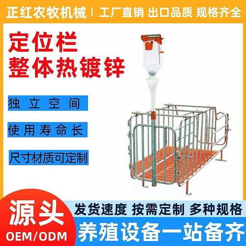 养殖设备母猪定位栏落地式限位栏猪用定位栏带槽仔猪保育设