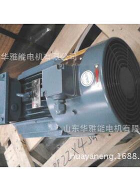 YE4-355L3-6-355KW电机二级能效YE4电机检查绕组绝缘是否老化痕迹