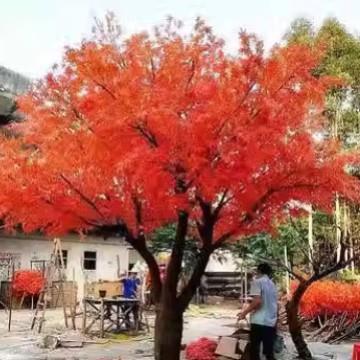 枫叶树假红枫树盆栽假树落地客厅装饰道具树花艺庭院绿植真