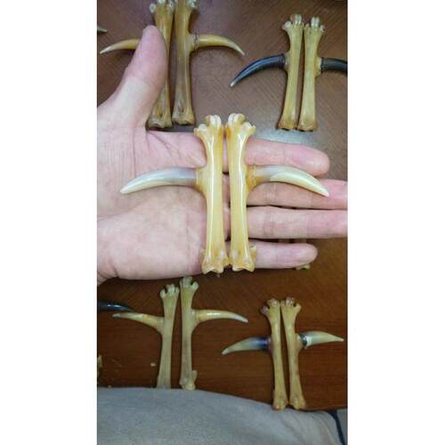 文玩鸡爪骨把件鸡蹬子手工制作传统骨玩抓钱手老鸡拐子盘玩骨艺