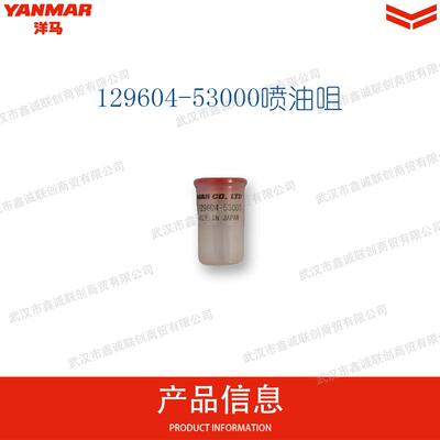 洋马129604-53000喷油咀适用机型:4TNV88挖掘机发电机零配件