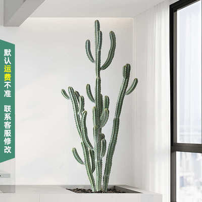 大型假绿植仿真仙人掌盆栽北欧室内沙漠植物仙人柱橱窗场景装饰