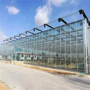 连栋大棚玻璃温室农业种植棚果蔬育苗养殖棚观光餐厅采摘温室大棚