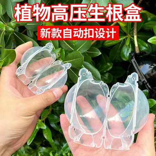 植物高压繁殖盒自动扣白色透光育苗控根器空中嫁接高压包繁殖球