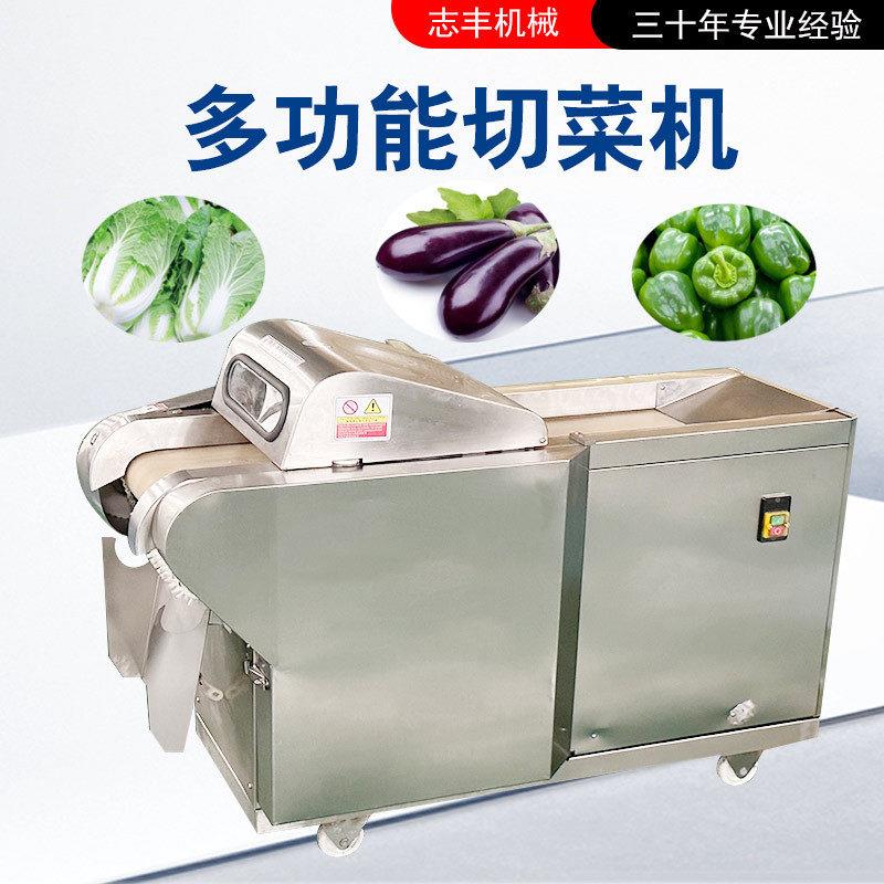 大葱切丁机志丰不锈钢西葫芦切块机尺寸标准香肠切片机