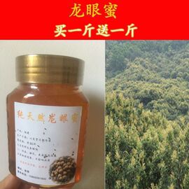 买1送1桂圆蜜龙眼蜜蜂蜜农家自产自销纯天然结晶原蜜