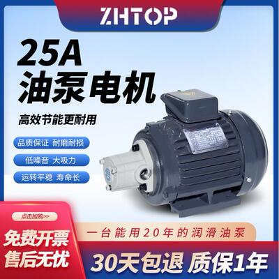 液压精密齿轮泵TOP-20TOP-25AVB大流量大吸力220V380V油泵电机组