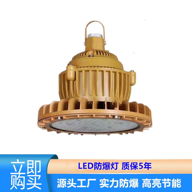 车间免维护照明灯隔爆型圆形LED防爆灯100W防爆投光灯防腐工矿灯
