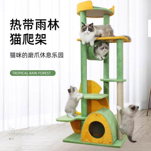 热带雨林猫爬架猫树猫窝一体磨爪柱幼猫专用跳台猫架子小型不占地