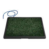 水道狗排下尿盆猫厕所狗直厕所仿便盆便器草坪自动清洗小型冲水犬