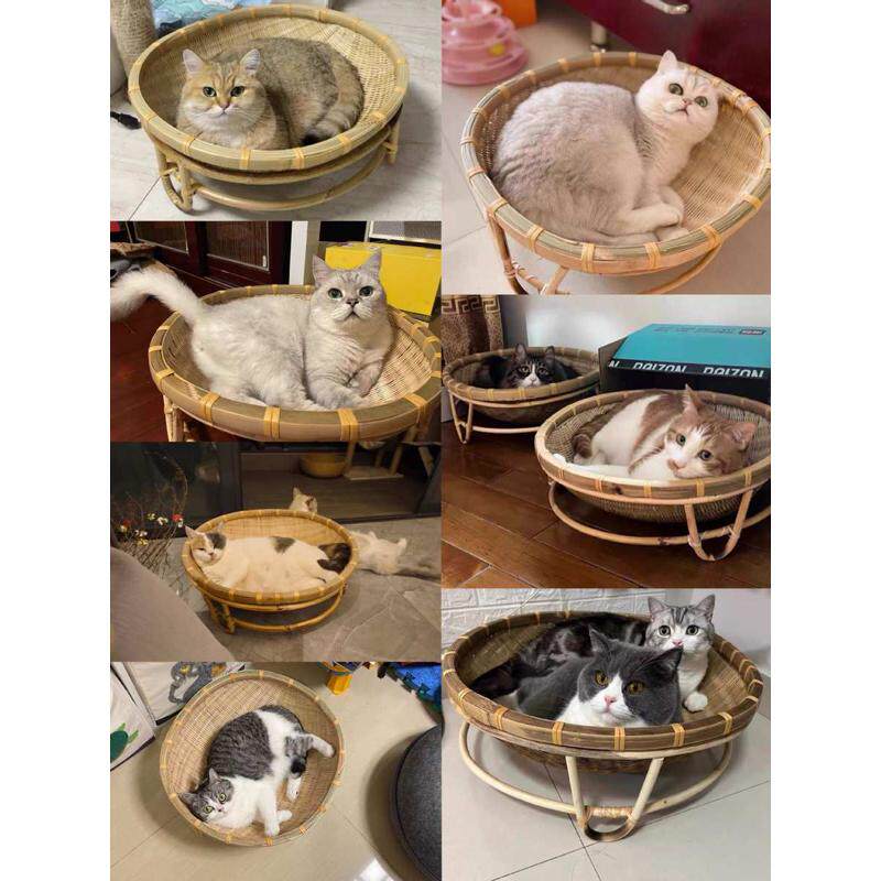 竹编藤编猫窝降温四季通用睡觉垫子网红吊床夏天凉窝夏季狗窝,宠物/宠物食品及用品,狗窝/屋/帐篷/沙发,淘宝优惠券,粉丝福利购,淘宝优惠卷