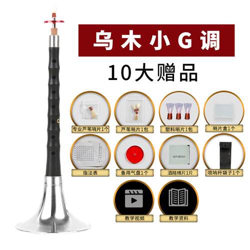 正品艺演奏专业乌木唢呐乐新器套d调D调初学入门者全小号喇叭哨片