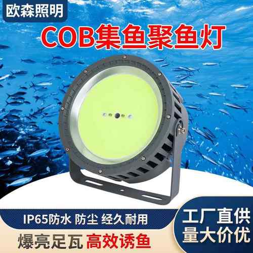 LED集鱼灯聚鱼钓鱼灯1000W1200W大功率渔船用捕鱼诱鱼灯超亮
