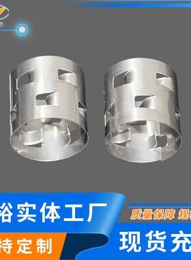 DN50mm/80mm不锈钢304316L鲍尔环填料