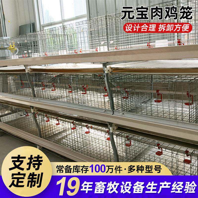 元肉鸡笼三层两门育雏笼尺寸定制热镀锌成品鸡笼元架子阶梯架