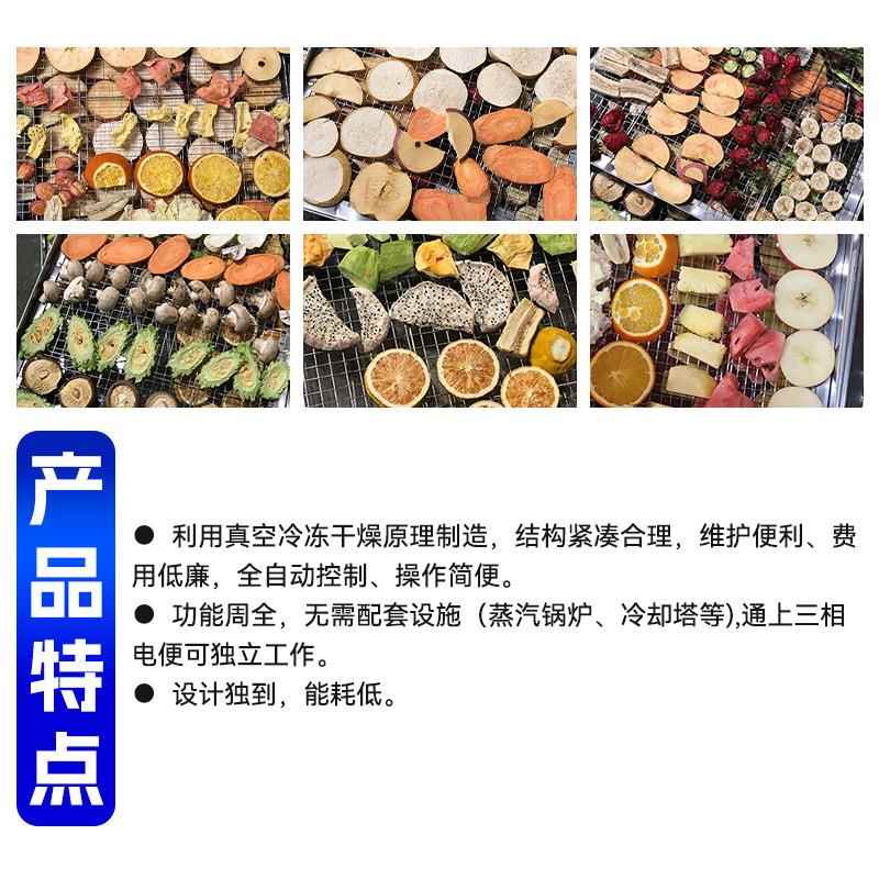 FNW水果蔬干菜真空冷冻干燥机 食红品薯冻机 干不锈钢真空冷冻干
