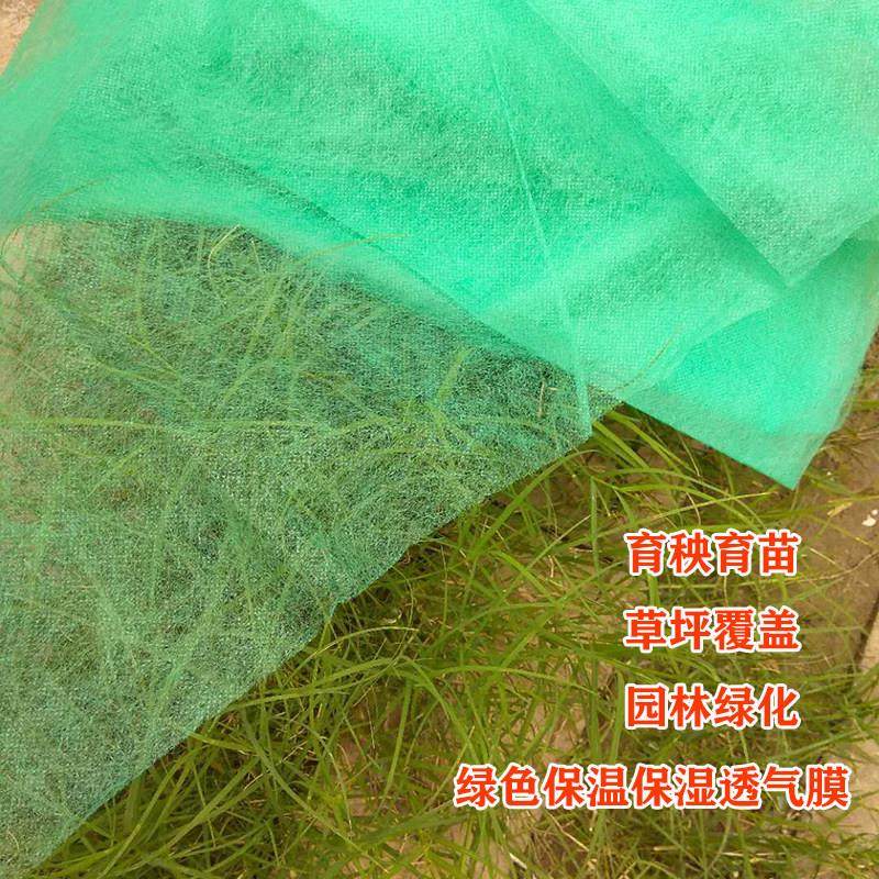 绿化不织布育苗不织布种植地膜农用薄膜蔬菜防冻保温覆盖膜透气膜,农机/农具/农膜,农用薄膜,淘宝优惠券,粉丝福利购,淘宝优惠卷