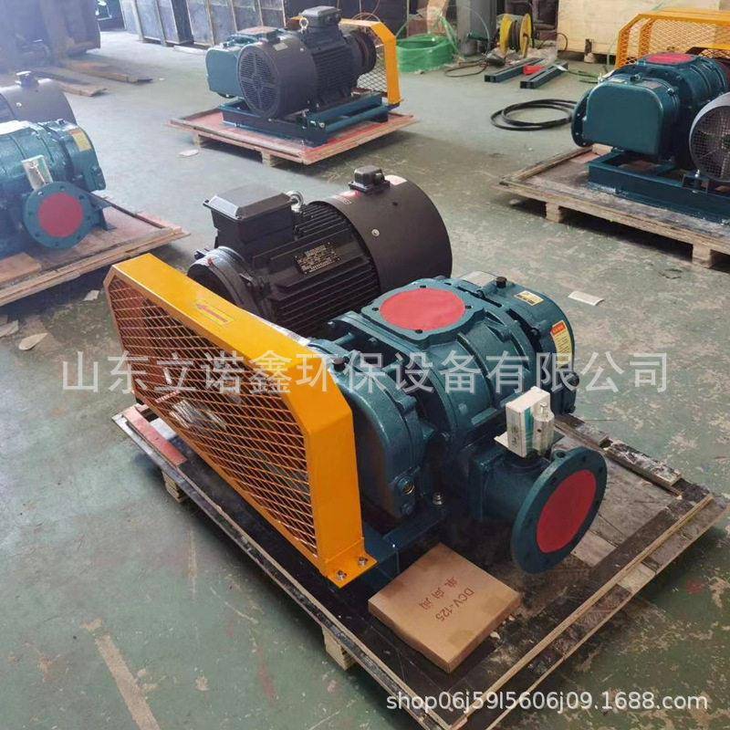 SR200养殖氧罗茨风电机厂脱硫脱硝气力输三叶罗茨鼓送风机