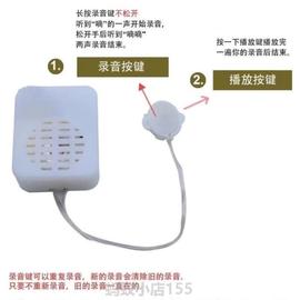 盒表白发声器*录音芯发声器，神器玩偶可放挂毛绒玩具录音器录音机